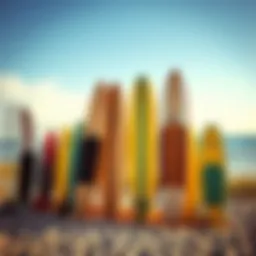 Different types of paddle boards displayed on a beach