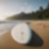 A serene ocean view with surfboards lined up on the beach