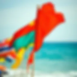 A vibrant image of various beach safety flags fluttering in the wind