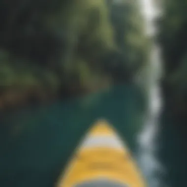 Exploring local waterways on a paddle board