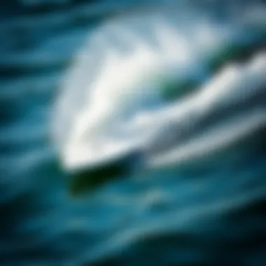 Dynamic Action of a Fiberglass Skimboard High-performance fiberglass skimboard gliding across water