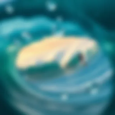 Aesthetic design of a coffee table book showcasing surf art and history