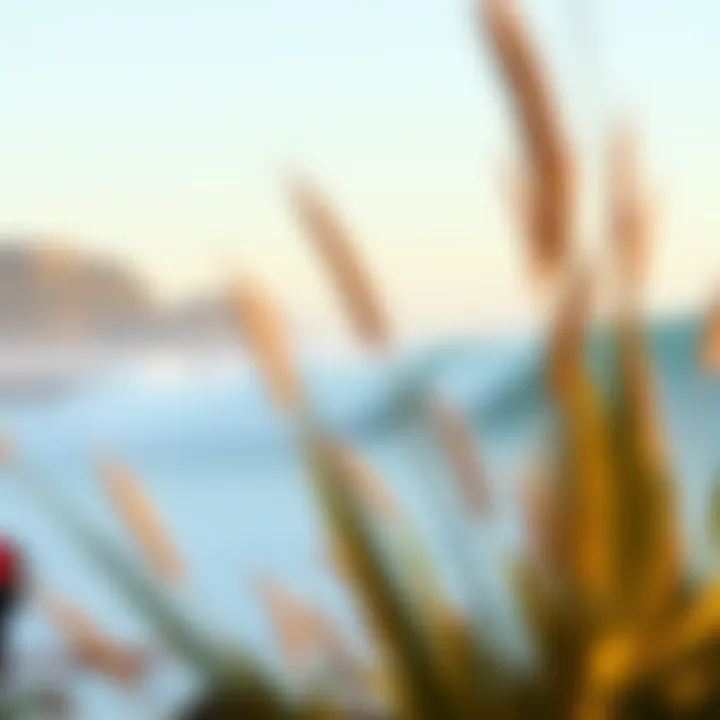 Artistic representation of surf culture in a beautifully crafted book