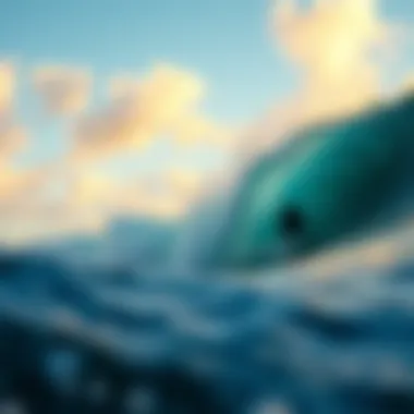 Vibrant surf scene captured in a stunning coffee table book