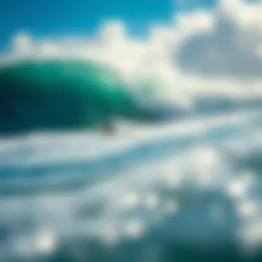 The Thrill of Maui's Waves Vibrant waves ideal for boogie boarding in Maui