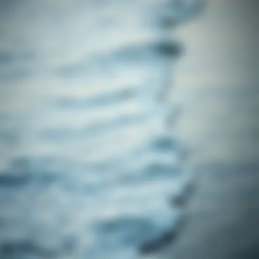 The Serenity of Ocean Waves Tranquil ocean waves lapping at the shore