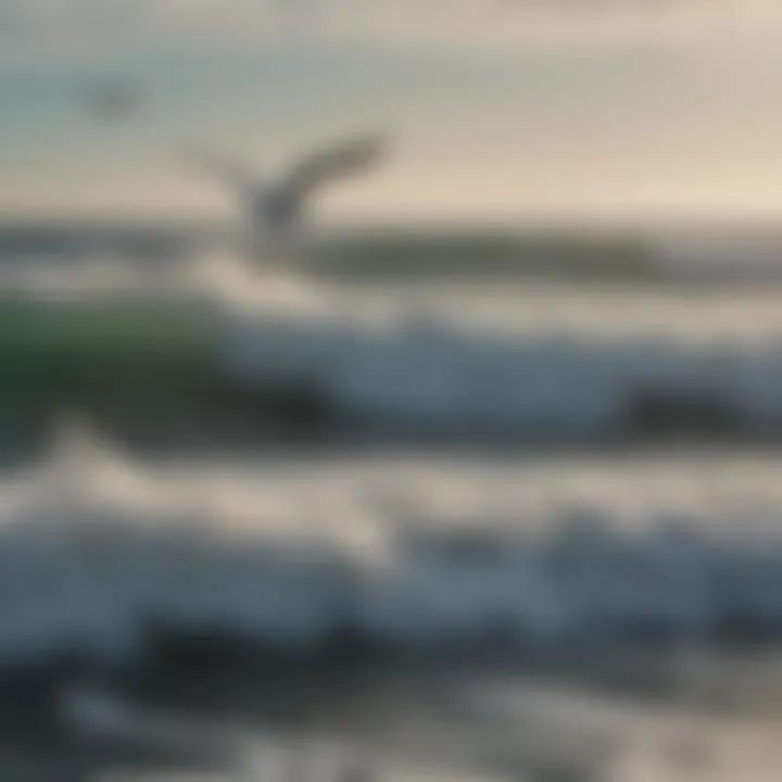 Seagulls flying over the ocean waves