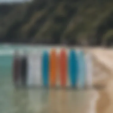 Variety of paddle boards showcasing different sizes