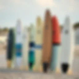 Different surfboard types displayed on a sandy beach