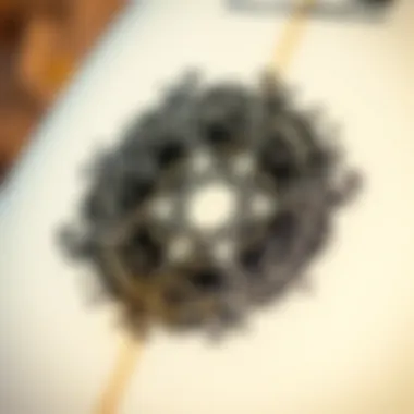 A close-up of a surfboard logo showcasing intricate design elements