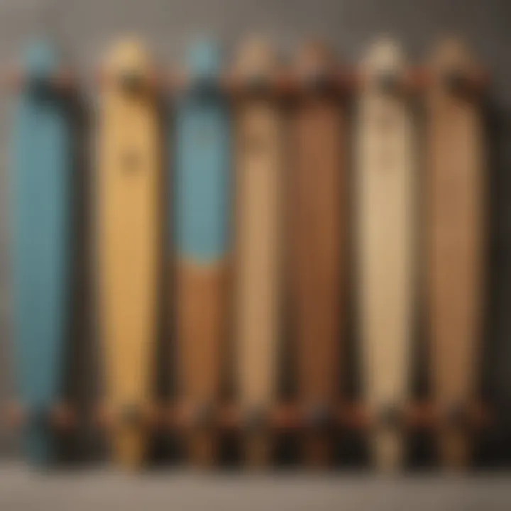 A collection of longboards lined up, each representing different styles and shapes