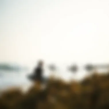 A serene beach scene with surfers practicing etiquette