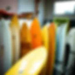 Different types of beginner surfboards on display