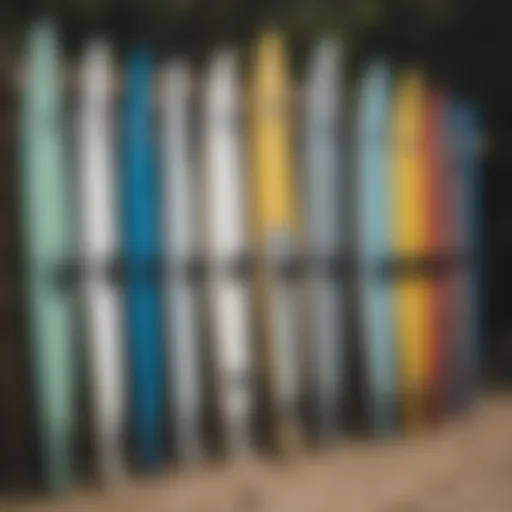 Diverse types of SUP racks displayed outdoors