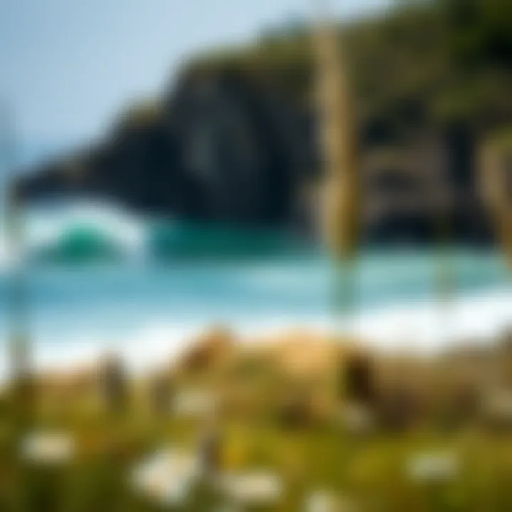 Ecologically friendly portable surf shower materials