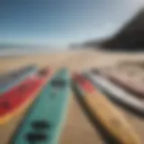 Diverse paddle board types displayed on a sunny beach