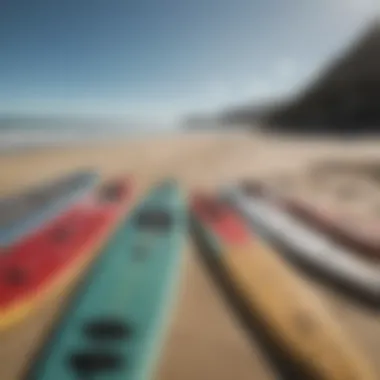 Diverse paddle board types displayed on a sunny beach