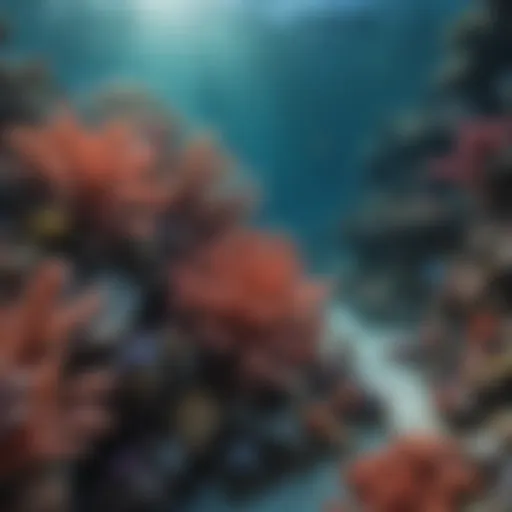 Majestic underwater coral reef teeming with life