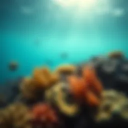 Vibrant coral reefs showcasing diverse marine life