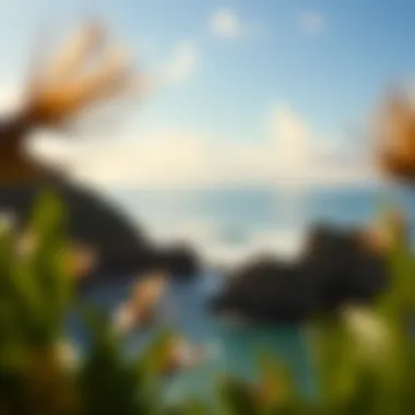 Beautiful coastal view showcasing surfers in the distance