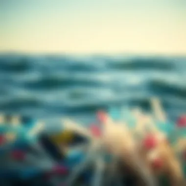 Marine pollution caused by plastic straws