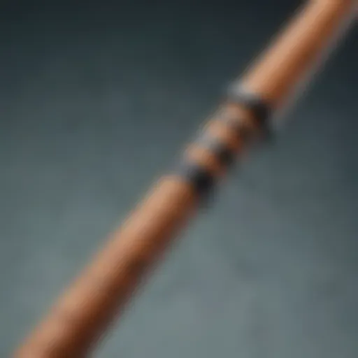 Close-up of a Daiwa surf rod showcasing its construction and materials