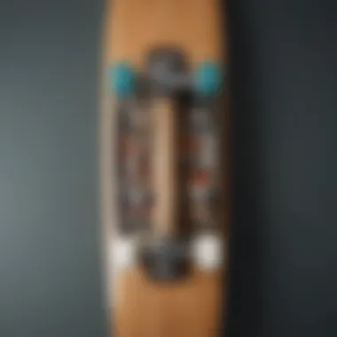 An illustration depicting the anatomy of a longboard, highlighting key components