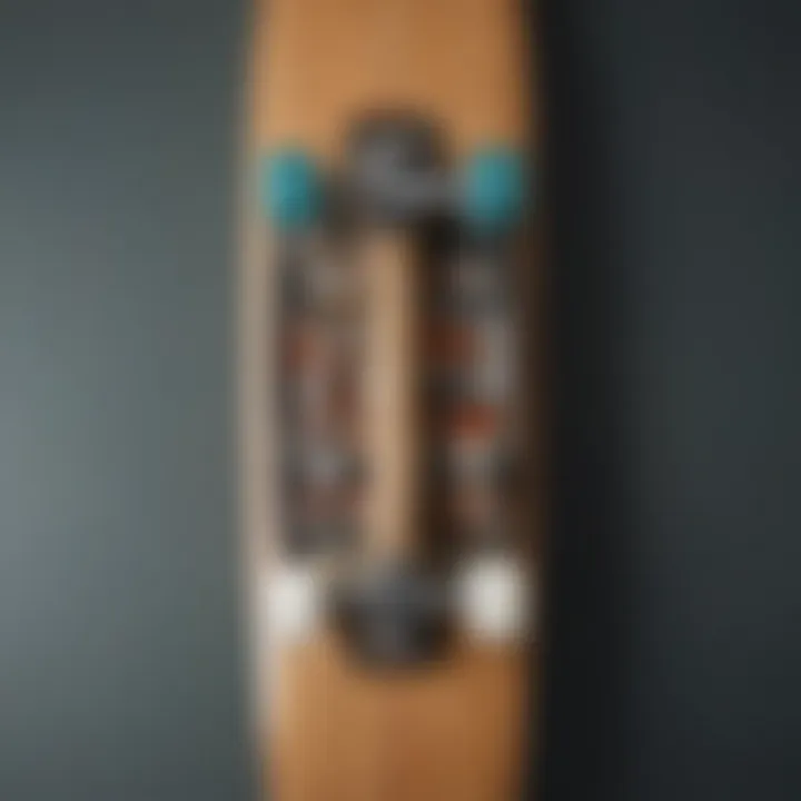 An illustration depicting the anatomy of a longboard, highlighting key components