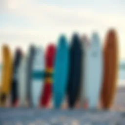 Diverse surfboard types lined up on a beach