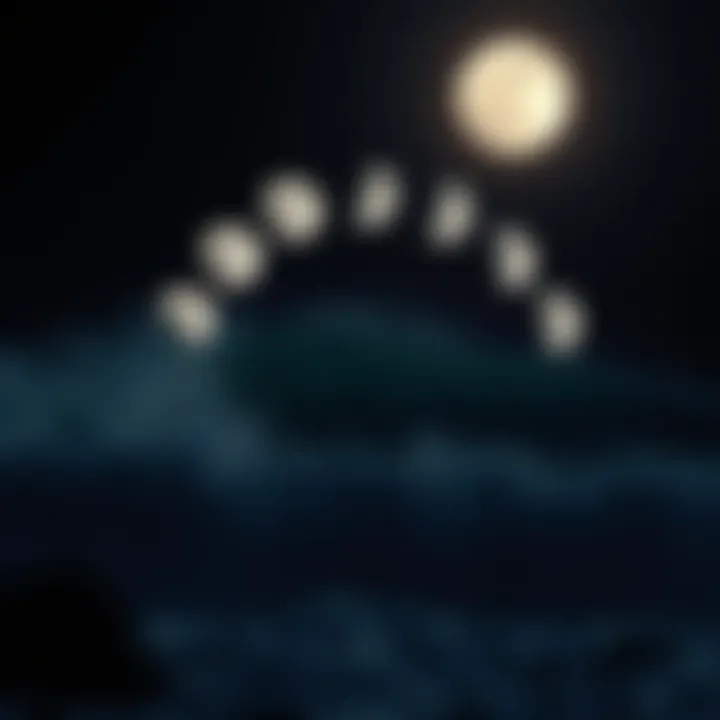 Visual representation of lunar phases related to tide patterns