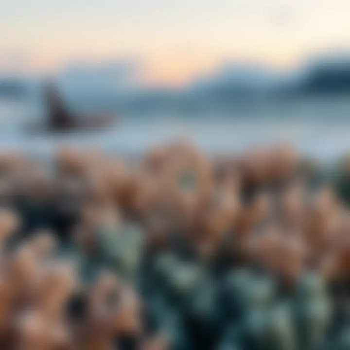 Eco-Friendly Applications of Faux Wave Coral Visual representation of eco-friendly applications of faux wave coral in conservation efforts.