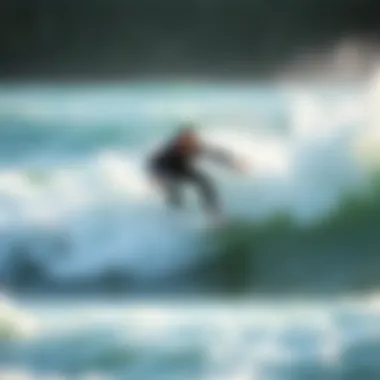 Sustainability in Motorized Surfing Environmental considerations related to motorized surfing