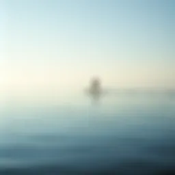 A serene view of a calm lake with a paddle boarder gliding across the surface.