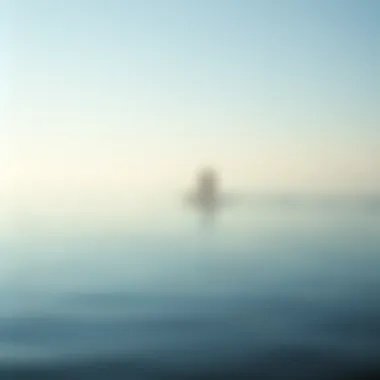 Gliding Across the Water A serene view of a calm lake with a paddle boarder gliding across the surface.