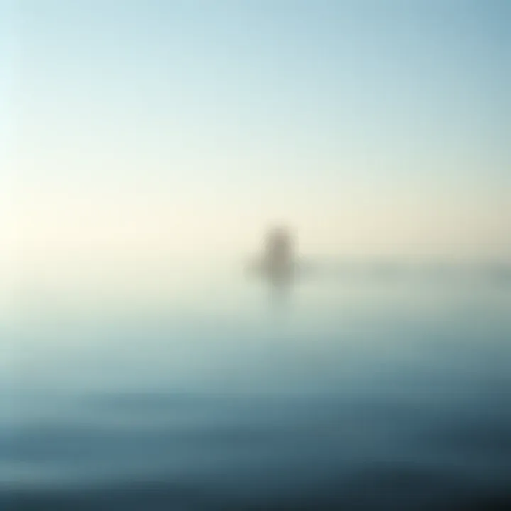 Gliding Across the Water A serene view of a calm lake with a paddle boarder gliding across the surface.