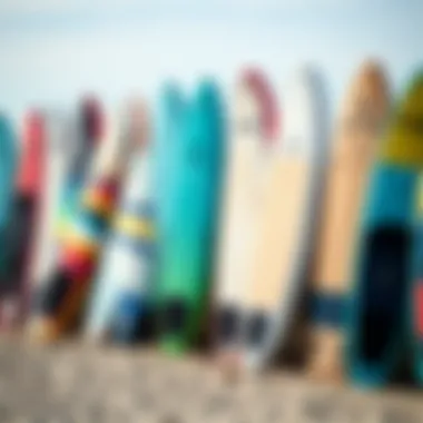 Diverse Paddle Board Selection An array of stand up paddle boards lined up on the beach, showcasing different designs and colors.