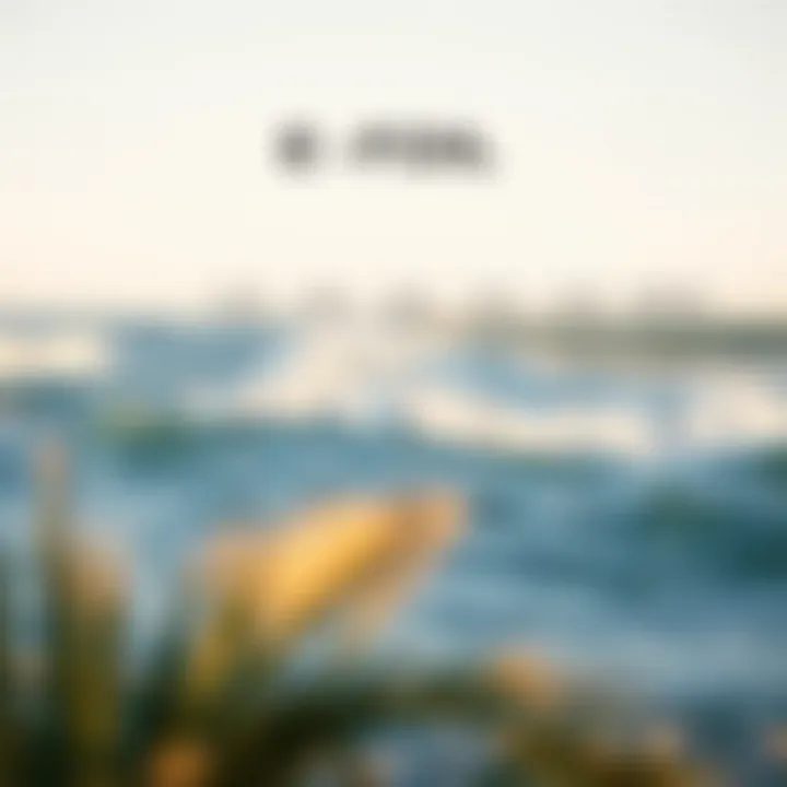 E-Foil Model Comparison Comparison chart of various e-foil models with specifications