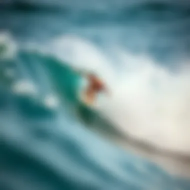 Dynamic Surfing Performance of 8.25 Decks Dynamic performance of an 8.25 surfboard deck on the waves