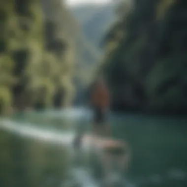 Paddleboarder using an electric motor amidst picturesque scenery