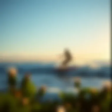 Respecting Nature: The Environmental Impact of Hydrofoil Surfing Serene ocean view highlighting the environmental aspect of surfing