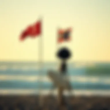 Historical Maritime Signaling Historical representation of maritime signaling at the beach