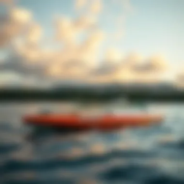 Eco-friendly materials used in the construction of paddle boards