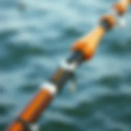 LL Bean surf rod showcasing its unique design