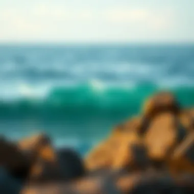 Sound frequency visualization inspired by ocean sounds