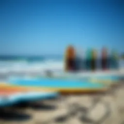 A diverse selection of ocean stand-up paddle boards lined up on the beach