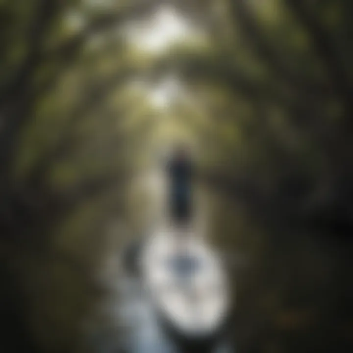 A close-up of a paddleboarder navigating through mangroves, highlighting the natural beauty