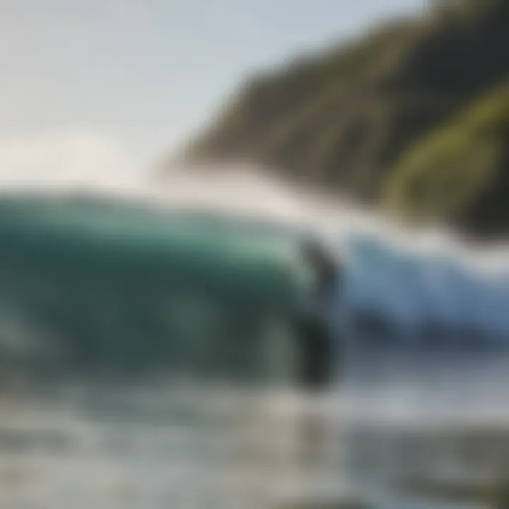 Local surf school instructors and students in action