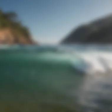 A serene view of a secluded surf break along the East Coast