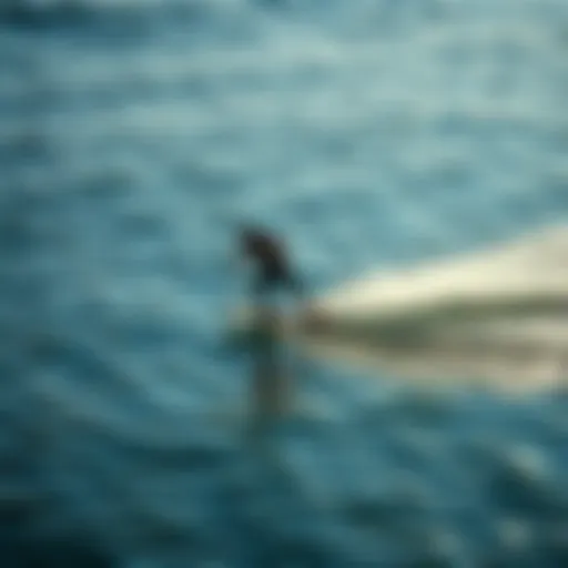Skimboarder gliding over the water's surface