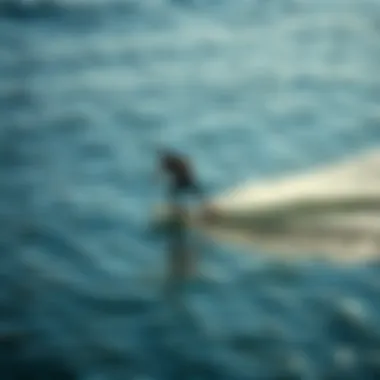 Graceful Glide on Water Skimboarder gliding over the water's surface